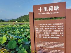 -梅州天地人花园酒店(梅县人民广场店)