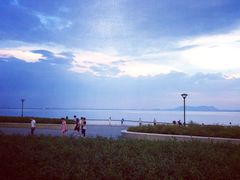 -贡湖湾湿地公园