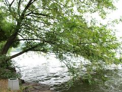-苏堤停车场