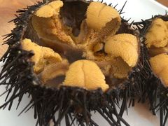 -海胆小馆(东北水饺·春柳店)