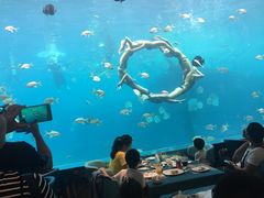 -瑞德姆美人鱼海底演艺主题餐厅(亚龙湾店)