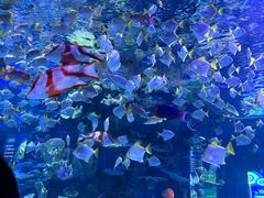 -左海海底世界