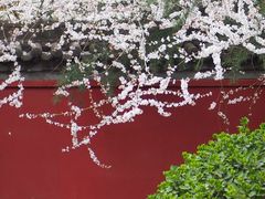 -西安市广仁寺