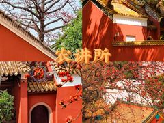 -广州长隆欢乐世界