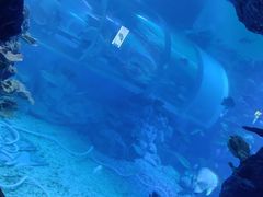 -临沂极地海洋王国