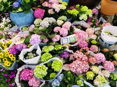 -双季花艺园艺市场(浦东店)