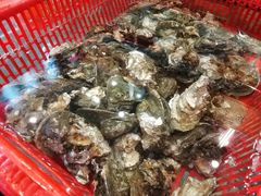 -巽寮印象美食部落餐厅·海鲜·地方特色菜(惠州体验店)