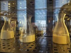 -嘉定凯悦·咖啡厅