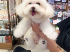 -FAELING PETS美天灵宠物(富力广场店)