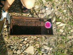 android_upload_pic-南戴河国际娱乐中心