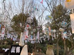 -天目湖涵田半山温泉