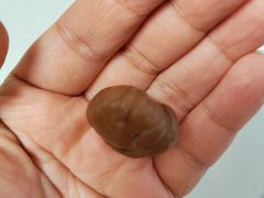 -小宝栗子(嘉华国际商业中心店)