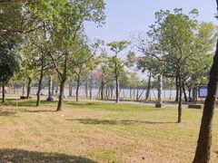 -顺峰山公园