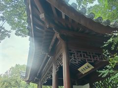 -汇龙潭