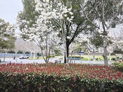 -复旦大学江湾校区食堂