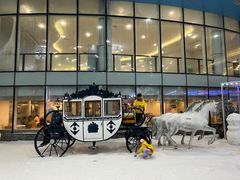 -世界之窗阿尔卑斯冰雪世界