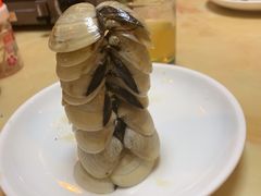 -顺德哥卜卜贝(旗舰店)