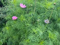 -迪庆藏族自治州博物馆