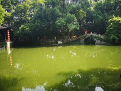 -绮园景区