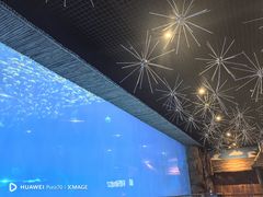 -西安华夏文旅水世界