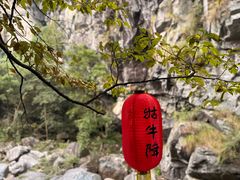 -石台牯牛降景区