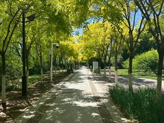 -南翠屏公园