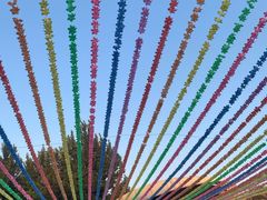 -南戴河国际娱乐中心