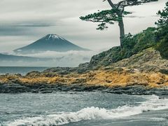 -帝京日语(春熙路旗舰校区)