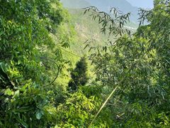 -天台山赤城山景区