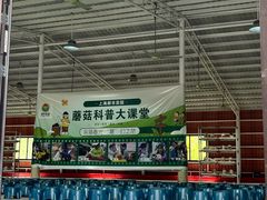 -上海都市菜园