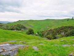 -怀托摩萤火虫洞