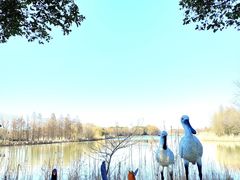 -苏州太湖国家湿地公园