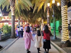 -三亚海昌梦幻海洋不夜城