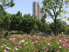 -济南国际园博园