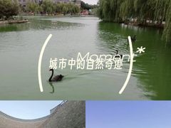 -洛阳马蹄泉旅游度假村