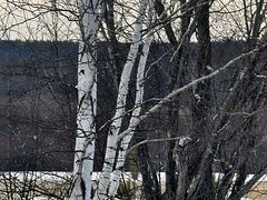 -北极村旅游风景区