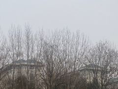 -东南大学(九龙湖校区)