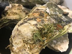 桑拿蠔-天宝食坊·啫啫煲大排档(西华路店)