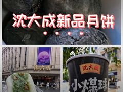 -沈大成(南京东路店)
