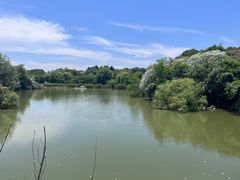 -上海吴淞炮台湾国家湿地公园