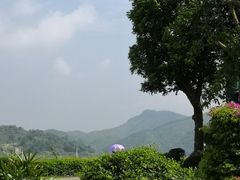 -浈阳坊旅游小镇