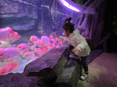 -泉城欧乐堡海洋极地世界