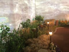 -印象莫奈时光映迹艺术展