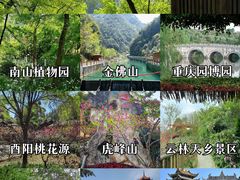 -南山植物园