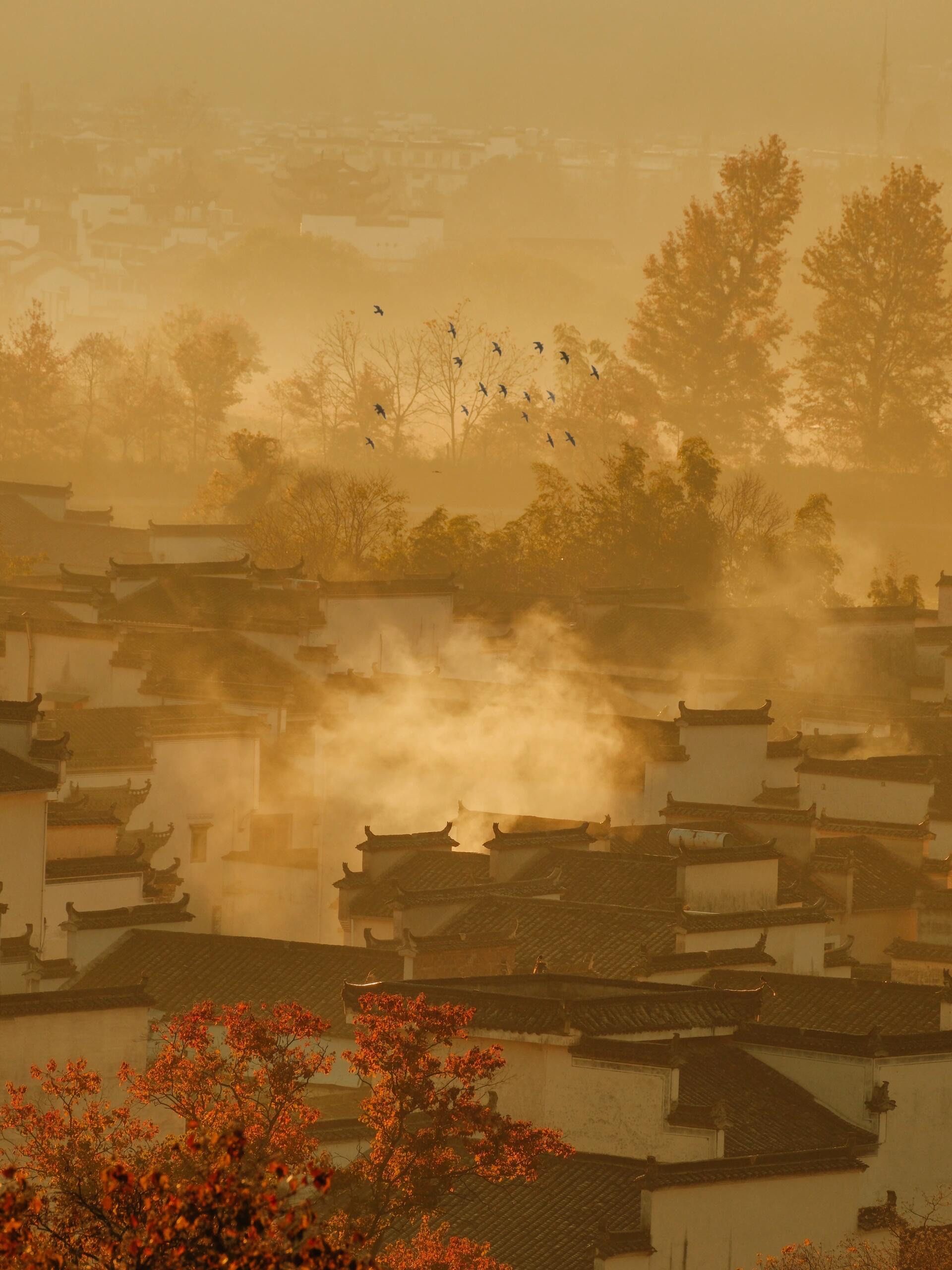 《国家地理》没骗我‼️皖南的秋天真的美绝了