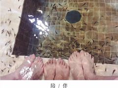 -中家鑫园温泉酒店鑫悦汤泉