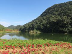 -广州市石门国家森林公园