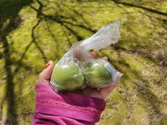 -东华大学(松江校区)