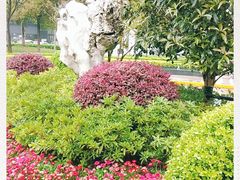 -新城控股新总部大楼