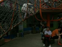 -中国福利会少年宫